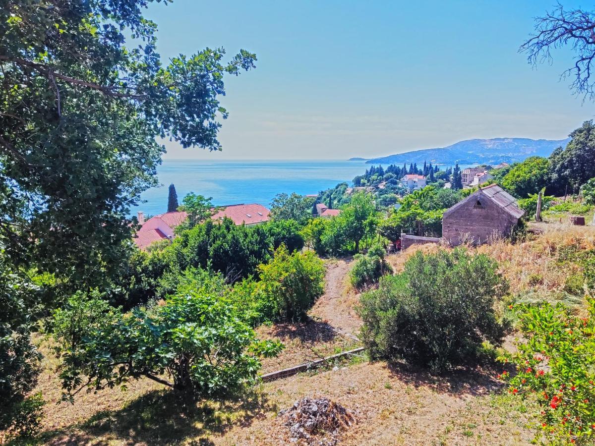 מליני Dubrovnik Moonshine Apartment מראה חיצוני תמונה