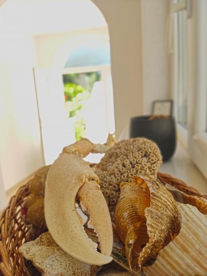 מליני Dubrovnik Moonshine Apartment מראה חיצוני תמונה